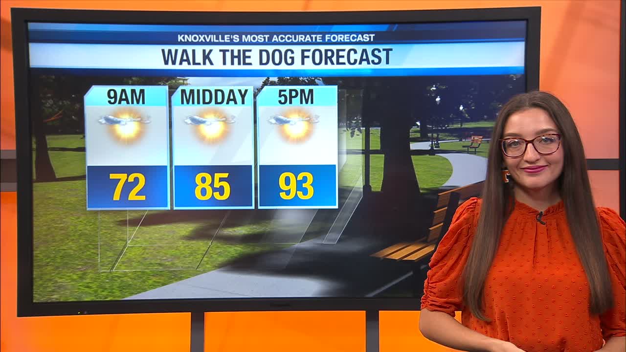 Mostly sunny and hot with highs in the low 90s – WATE 6 On Your Side
