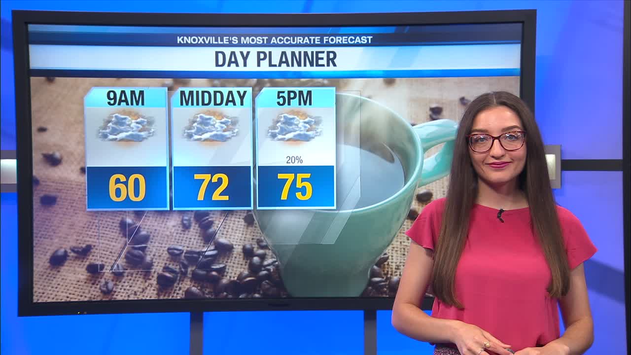 Mostly cloudy with a stray shower late – WATE 6 On Your Side