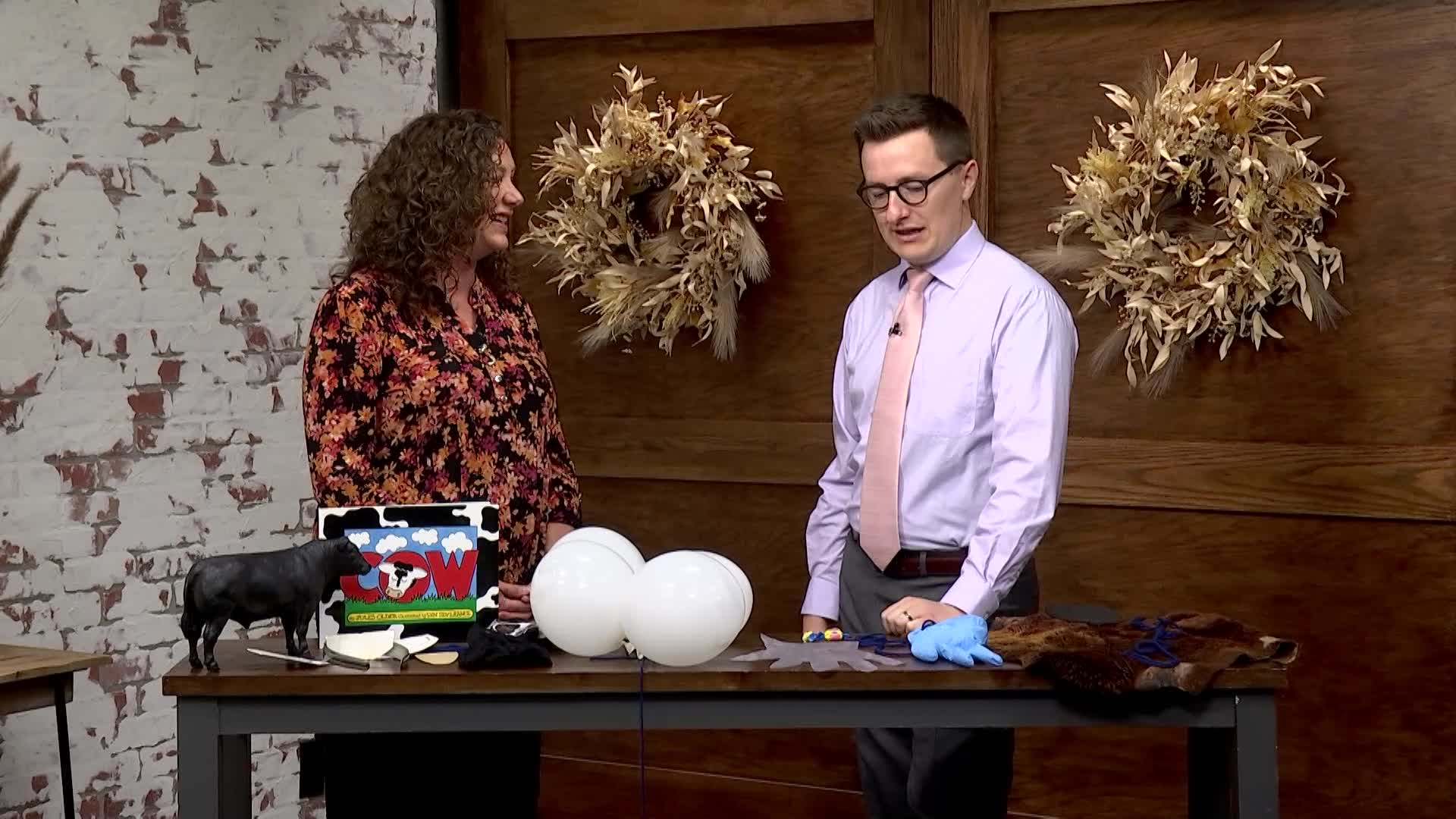 Comparing Cows to Humans | Ag in the Classroom – WCIA.com