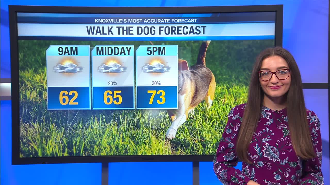 Partly cloudy today with a stray shower – WATE 6 On Your Side