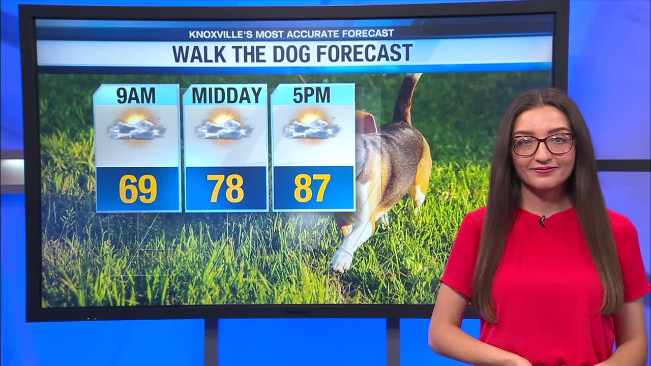 Partly cloudy and hot today – WATE 6 On Your Side