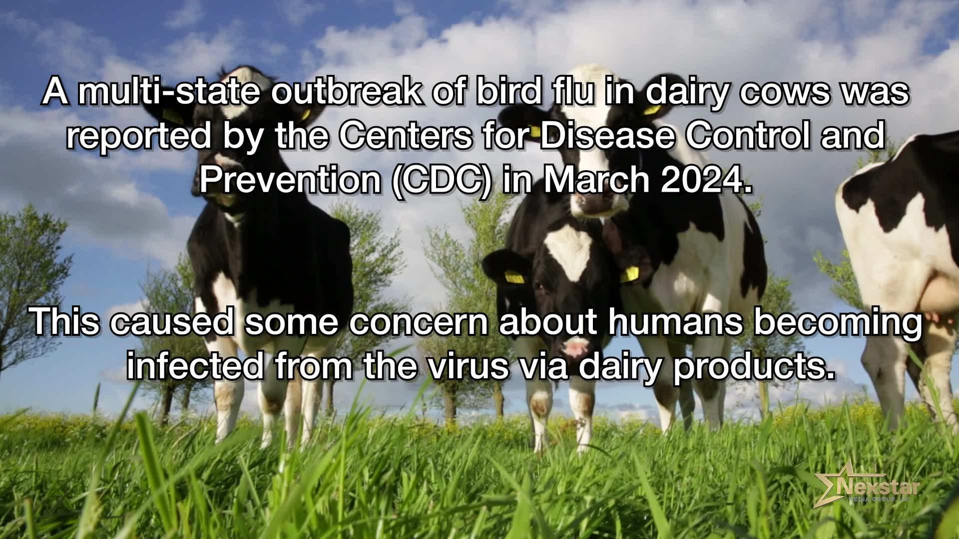 Is bird flu dangerous to humans? NEWS10 ABC